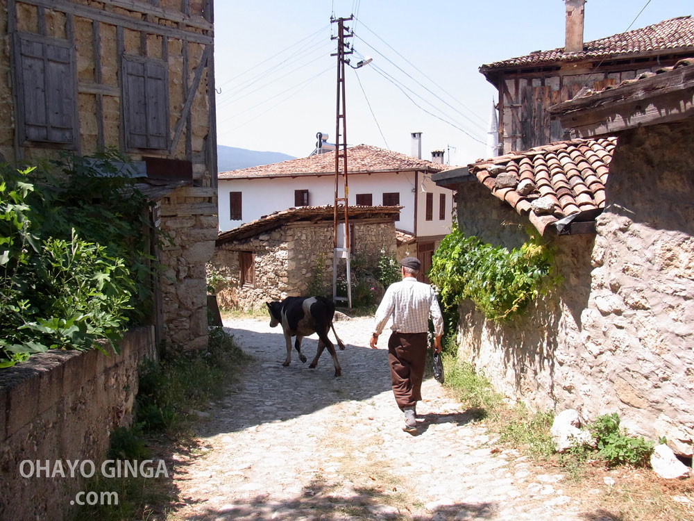 サフランボルを写真で振り返るトルコひとり旅の記録。おじいさんと牛